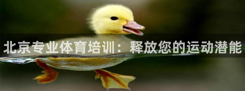 耀世娱乐挂机教程下载：北京专业体育培训：释放您的运动潜能