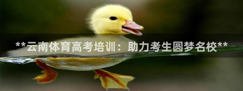 耀世平台皮皮虾：**云南体育高考培训：助力考生圆梦名