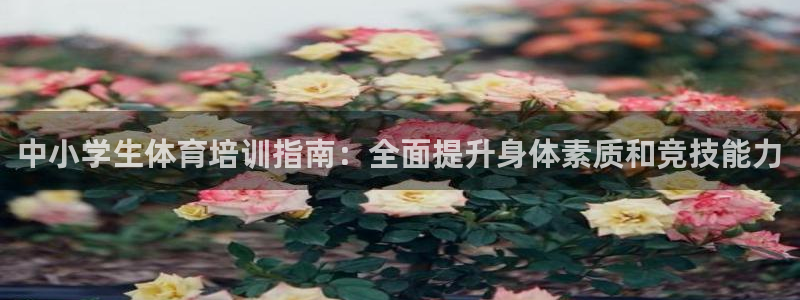 耀世娱乐平台官网登录不了怎么回事：中小学生体育培训指