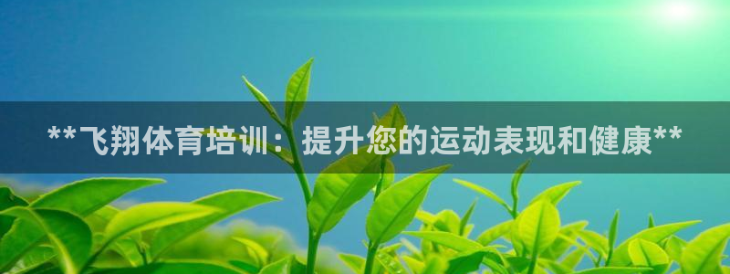 耀世平台代理怎么做的：**飞翔体育培训：提升您的运动