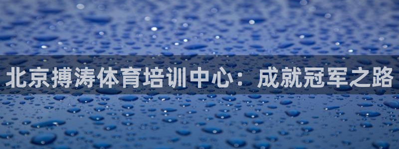 耀世娱乐辅助：北京搏涛体育培训中心：成就冠军之路