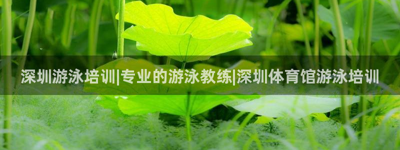 耀世娱乐是不是很黑暗：深圳游泳培训|专业的游泳教练|