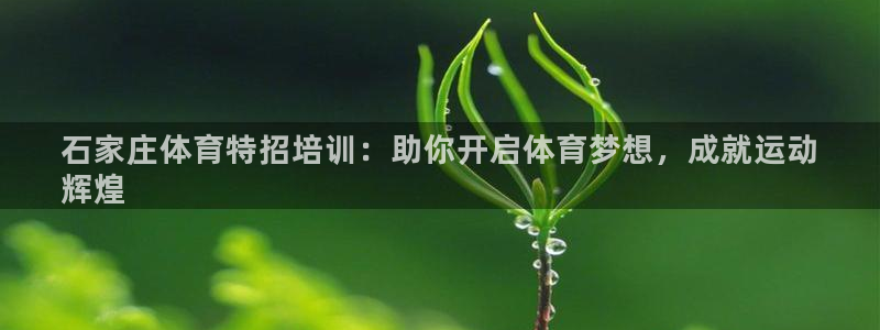 耀世娱乐挂机怎么玩：石家庄体育特招培训：助你开启体育