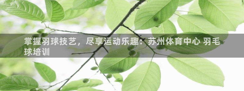 耀世平台代理注册登录不了：掌握羽球技艺，尽享运动乐趣