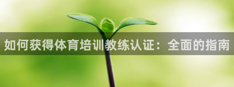 耀世微光歌词：如何获得体育培训教练认证：全面的指南