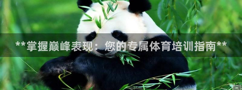 耀世平台人才：**掌握巅峰表现：您的专属体育培训指南