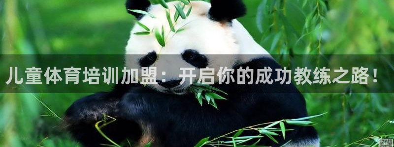 耀世娱乐网址是什么：儿童体育培训加盟：开启你的成功教