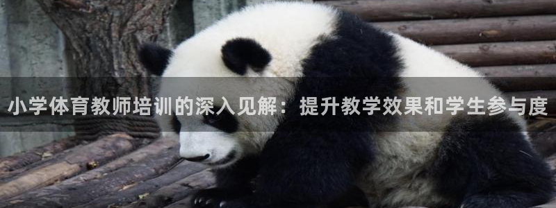 耀世娱乐官网网站：小学体育教师培训的深入见解：提升教