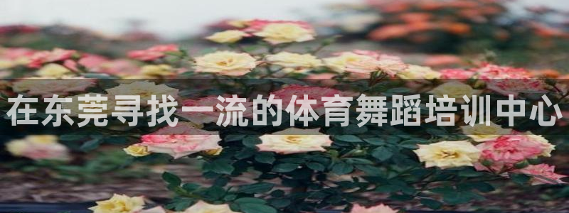 耀世平台式7O777：在东莞寻找一流的体育舞蹈培训中