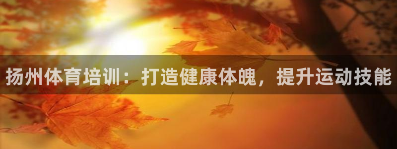 耀世娱乐怎么注册会员：扬州体育培训：打造健康体魄，提