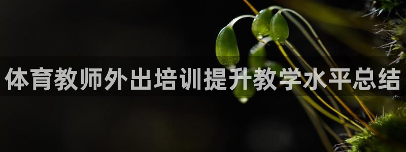 耀世集团王总简介：体育教师外出培训提升教学水平总结