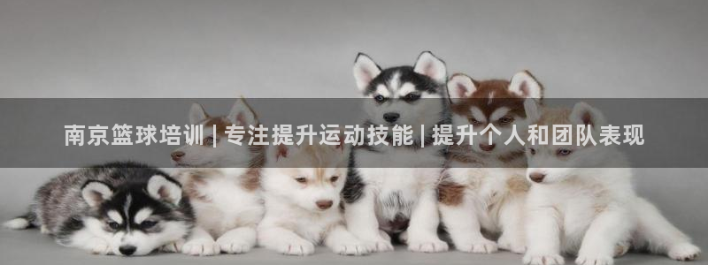 耀世国际集团是国企吗还是央企：南京篮球培训 | 专注