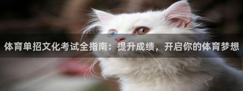 耀世娱乐注册：体育单招文化考试全指南：提升成绩，开启