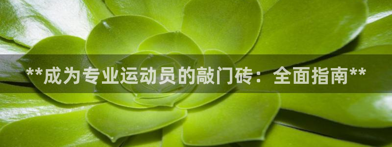 耀世天下是什么意思啊：**成为专业运动员的敲门砖：全