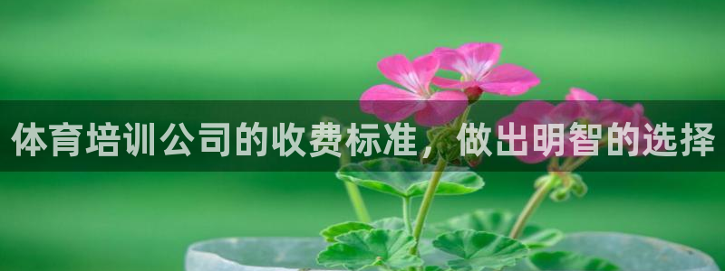 耀世娱乐登入：体育培训公司的收费标准，做出明智的选择