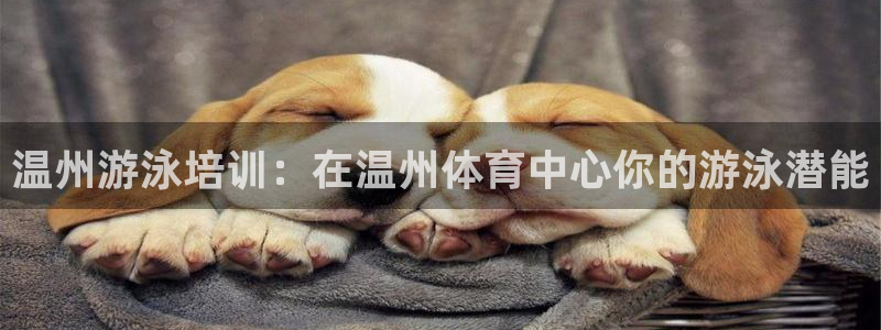 耀世娱乐腾讯分分彩：温州游泳培训：在温州体育中心你的