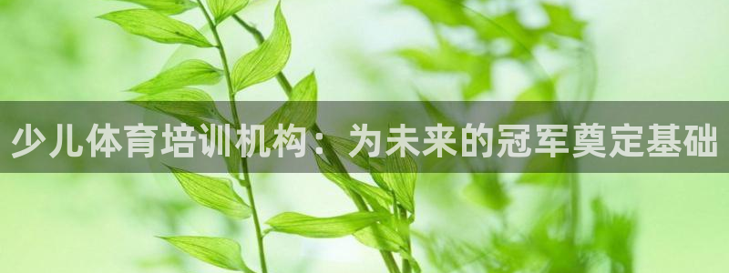 耀世娱乐平台注册登录不了：少儿体育培训机构：为未来的冠军奠定