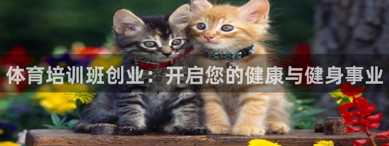 耀世登场下一句：体育培训班创业：开启您的健康与健身事