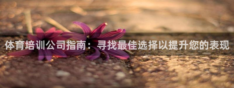 耀世集团是什么电影：体育培训公司指南：寻找最佳选择以