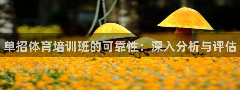 耀世集团董事长儿子：单招体育培训班的可靠性：深入分析
