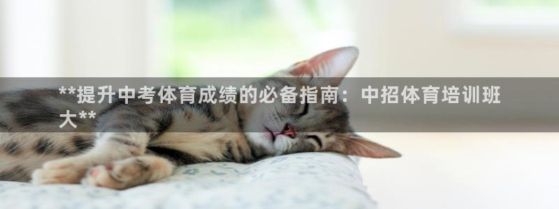 耀世集团商业联盟怎么样：**提升中考体育成绩的必备指