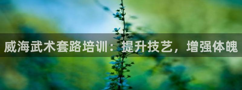 耀世平台代理多少钱一个：威海武术套路培训：提升技艺，