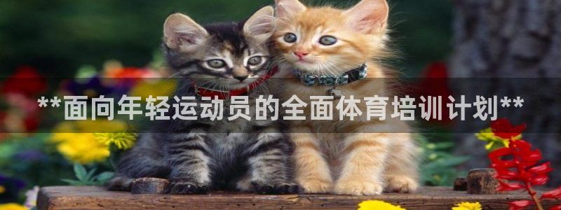 耀世国际集团：**面向年轻运动员的全面体育培训计划*