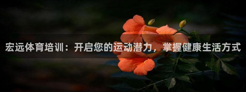 耀世娱乐注册资金多少：宏远体育培训：开启您的运动潜力