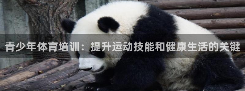 耀世微光mv：青少年体育培训：提升运动技能和健康生活