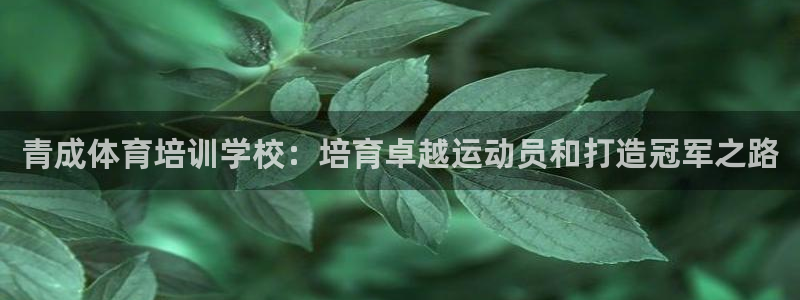 耀世平台注册流程图片：青成体育培训学校：培育卓越运动