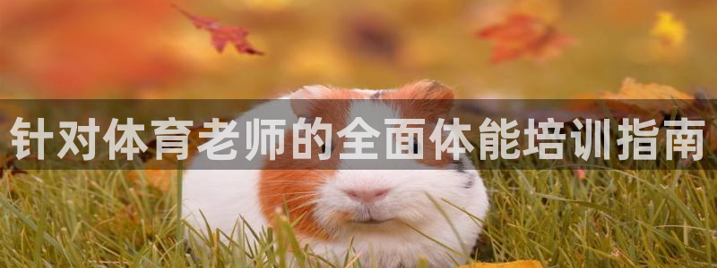 耀世娱乐注册资金多少：针对体育老师的全面体能培训指南