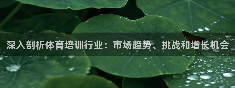 耀世娱乐联 411O31 娱乐：深入剖析体育培训行业