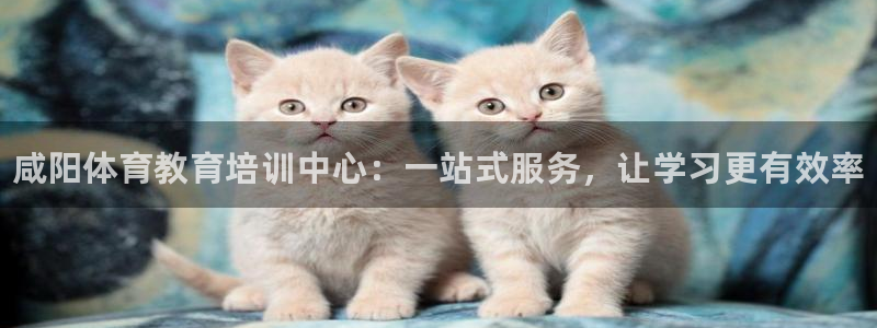 耀世什么意思