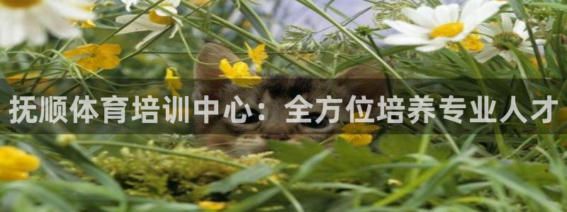 耀世娱乐佳 5O6917 娱乐