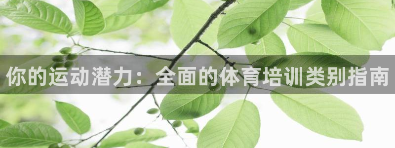 耀世平台注册登录：你的运动潜力：全面的体育培训类别指