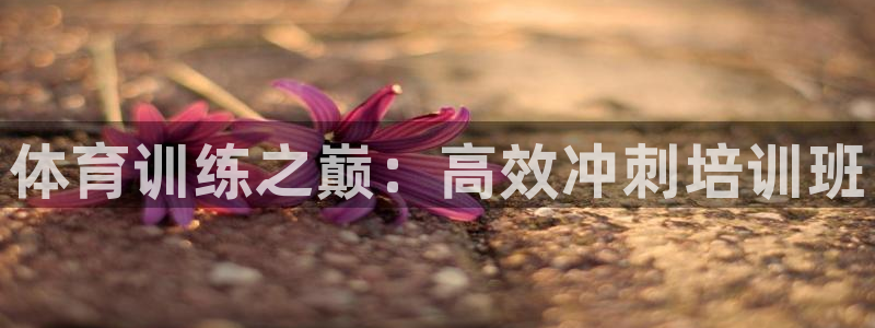 耀世盛典官网下载：体育训练之巅：高效冲刺培训班