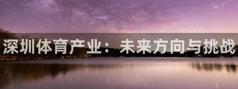 耀世三国官网：深圳体育产业：未来方向与挑战