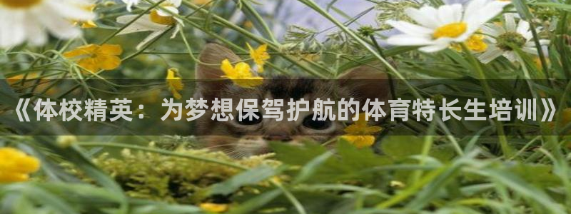 耀世娱乐能不能提现到支付宝：《体校精英：为梦想保驾护