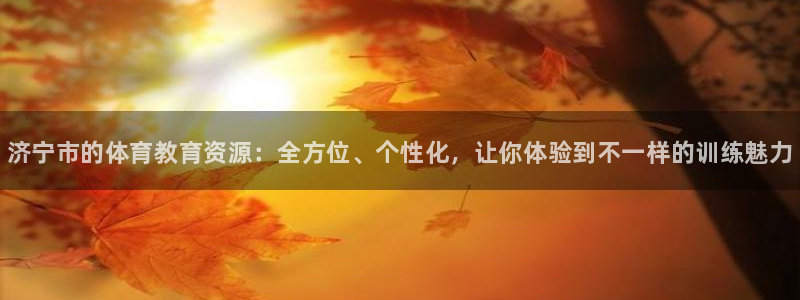 耀世娱乐如何登录平台：济宁市的体育教育资源：全方位、