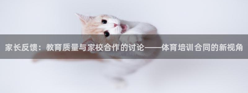 耀世天下和如日中天哪个好：家长反馈：教育质量与家校合作的讨论