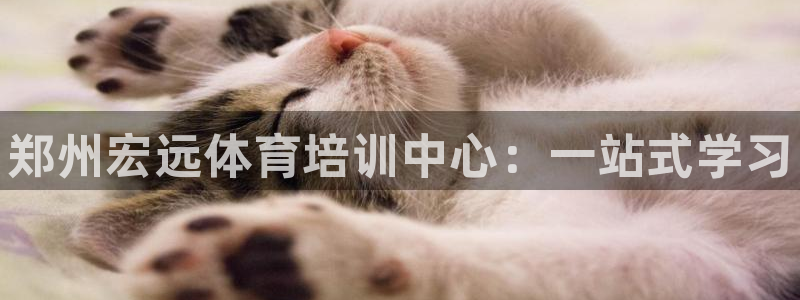 耀世娱乐官网首页登录入口：郑州宏远体育培训中心：一站