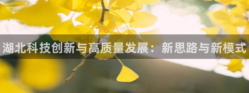 耀世娱乐返点：湖北科技创新与高质量发展：新思路与新模式