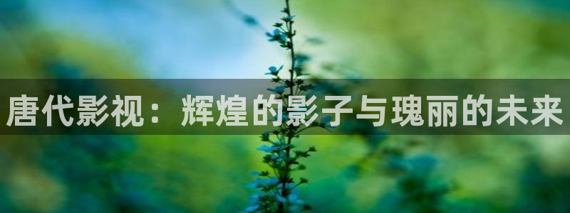 伊人私人影院在线：唐代影视：辉煌的影子与瑰丽的未来