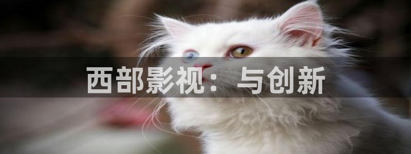 伊人影院888：西部影视：与创新