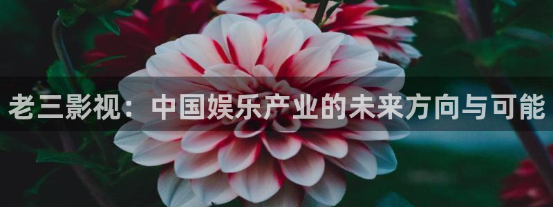 欧美成人伊人电影：老三影视：中国娱乐产业的未来方向与可能