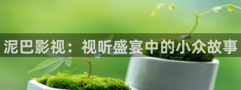 大香樵伊人影院：泥巴影视：视听盛宴中的小众故事