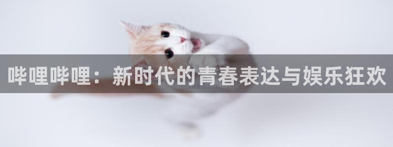 天堂伊人影院：哔哩哔哩：新时代的青春表达与娱乐狂欢