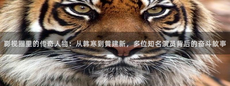 亚洲伊人成综合人影院：影视圈里的传奇人物：从韩寒到黄建新，多位知名演员背后的奋斗故事