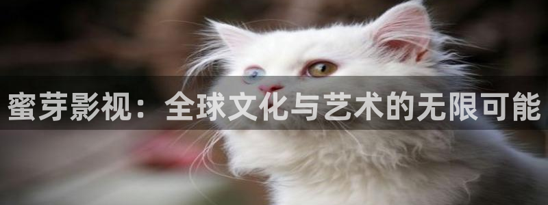 伊人狼影院：蜜芽影视：全球文化与艺术的无限可能